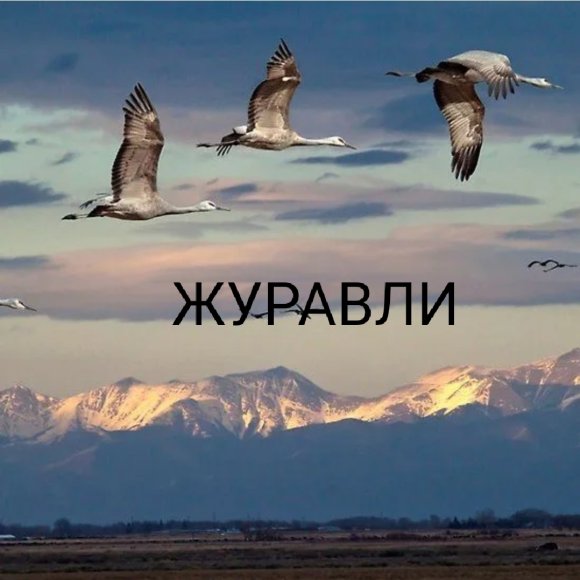 Обложка трека