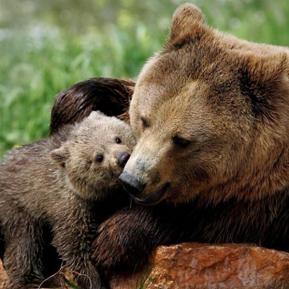 Обложка трека