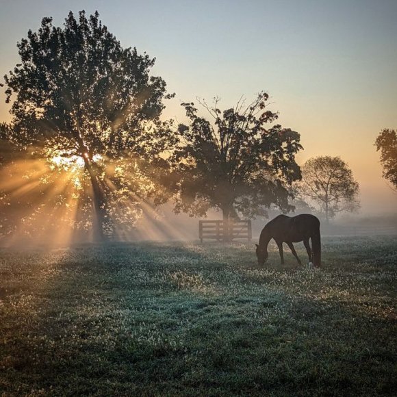 Обложка трека