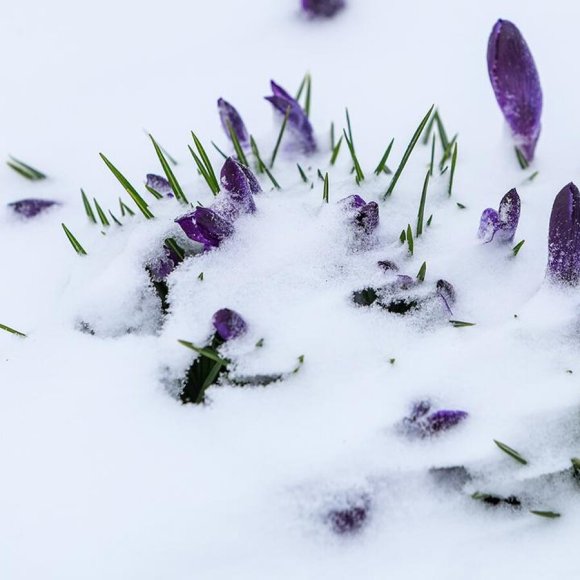 Обложка трека