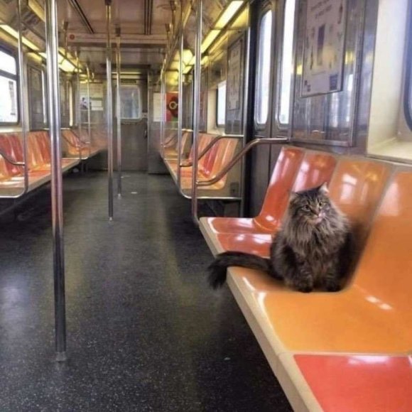 Обложка трека