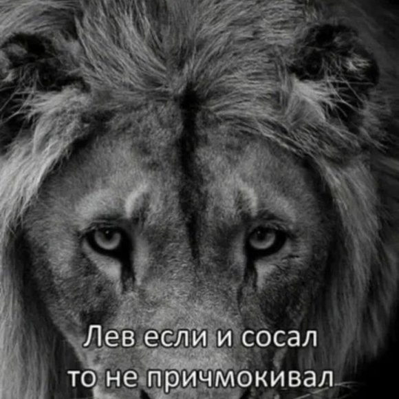 Обложка трека