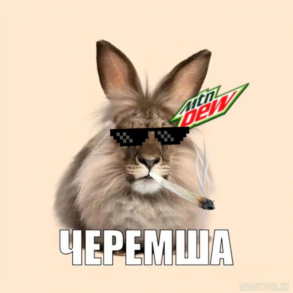 Обложка трека