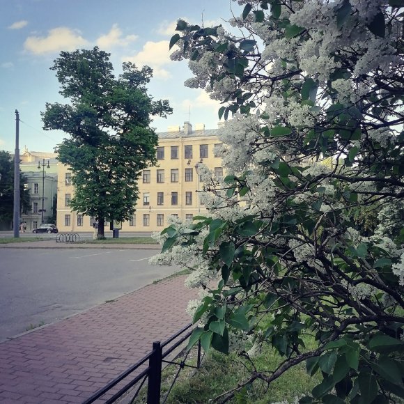 Обложка трека