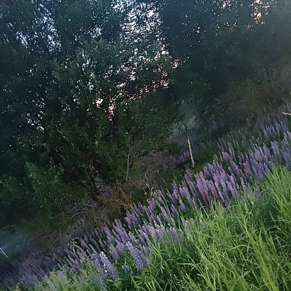 Обложка трека