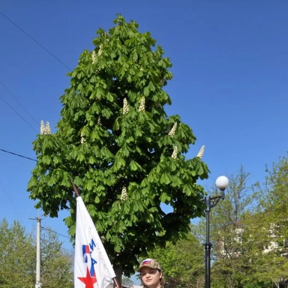 Обложка трека