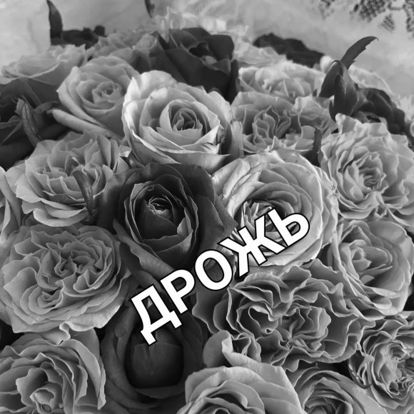 Обложка трека