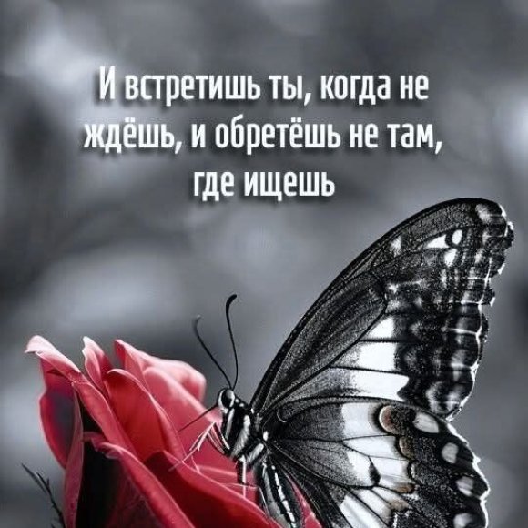 Обложка трека