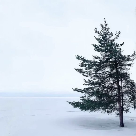 Обложка трека