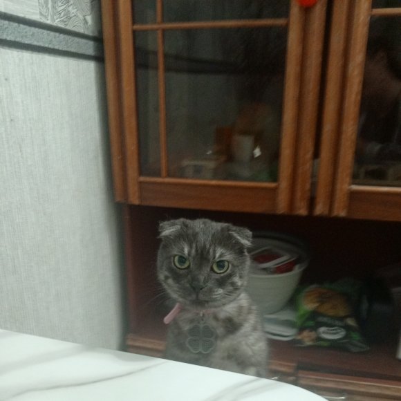 Обложка трека