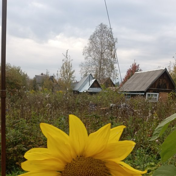 Обложка трека