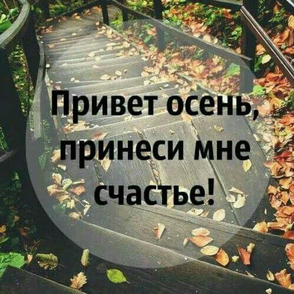 Обложка трека