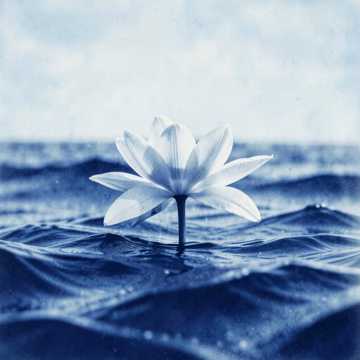 Cover 1