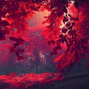 Alex Core - Simphony - фото