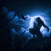 ZloyKrolik - Такого не бывает