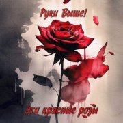 Руки Выше! - Эти красные розы - фото