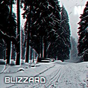 NisVad - Blizzard - фото