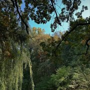 Tima Apulaev - Тебя нету рядом - фото