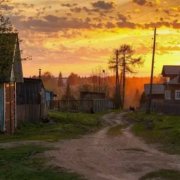 Сидоркин-Столяров  "За березовым соком" - фото