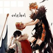 Voleibol