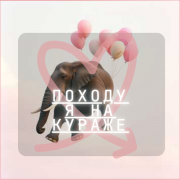 Femmyxhf - Походу я на кураже