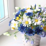 Автор слов - Иван Чай. Песня - Ой ромашки васильки.