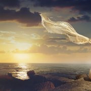 01. Raul Matis - To meet the wind - фото