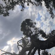 Ната-ча,ча,ча