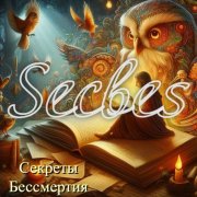 SECBES - Дни идут! (гитара) - фото