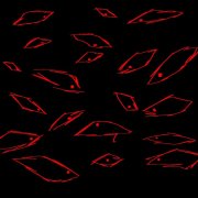 Stupid-doll -night surveillance