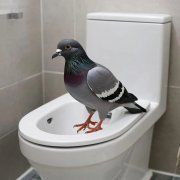 I'm cool!