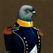 Valdis - Голубиный позор - фото