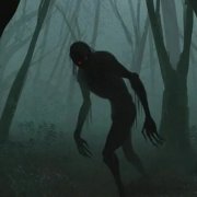 Sanskrit - Лесная дорога