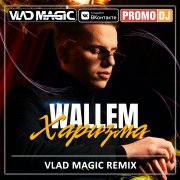 Wallem - Харизма (Vlad Magic remix) - фото