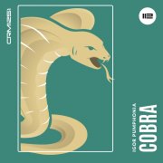 Igor Pumphonia - Cobra - фото