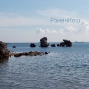 WilRed (РоманКош)