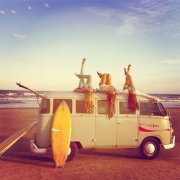 VeNoa - Crazy Summer