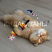 bouncedab -  кидаю заны - фото
