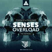 Senses Overload Remix - фото