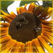 Tzytz - Sun Through The Rain - фото