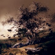 DJ Kak2yZ - Swarm - фото