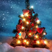 Temiz - Christmas snow