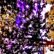 milli b- nothing else - фото