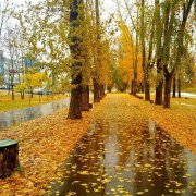 Алексей Шевырёв Тихо дождик стучит по крыше