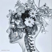 Кости - Кризис среднего