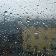 Автор песни Игорь Бакань, поёт ии - Бродяга дождь. - фото