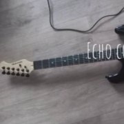 Одинокий кароль