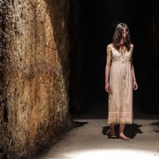 Алексей Шевырёв - Волчий взгляд