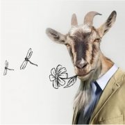 КПМ - Изабелла Владимировна