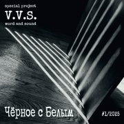 V.V.S. - Взгляд серых глаз